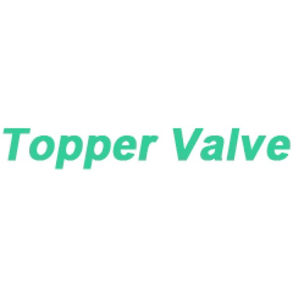 China Valve logo